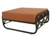 Erys Lounge Chairs and Ottoman