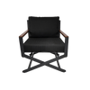 Director Armchair