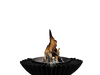 Cosmo 13 Firepit