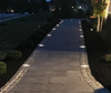 IP8.100.xxx LED Paver Insert